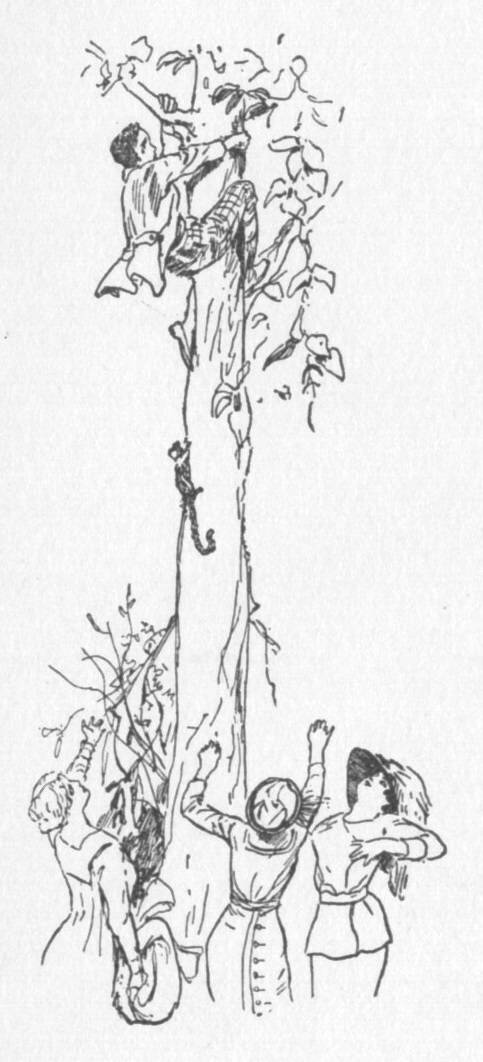 Line drawing of a man clinging to the trunk of a tall tree with a group of women gathered around the base below him reaching up.